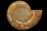 Orange, Crystal Filled, Cut Ammonite Fossil - Jurassic #168534-3